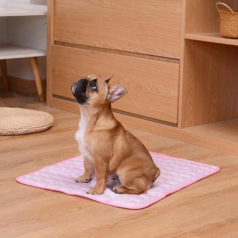 Coolmat™ | Alfombra Refrescante para Mascotas | Absorbente de Calor | Ligera y Lavable