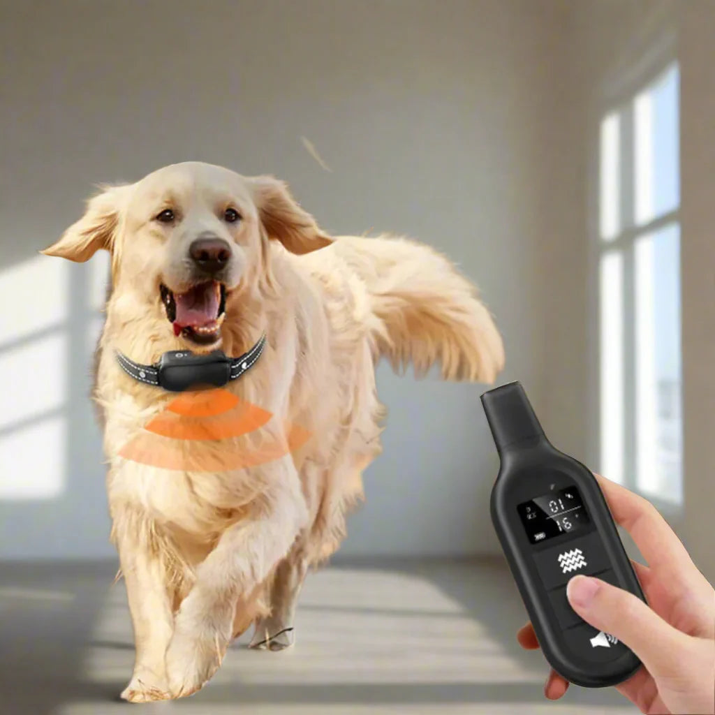Collar de Entrenamiento Eléctrico para Perros con Control Remoto y Múltiples Modos de Entrenamiento