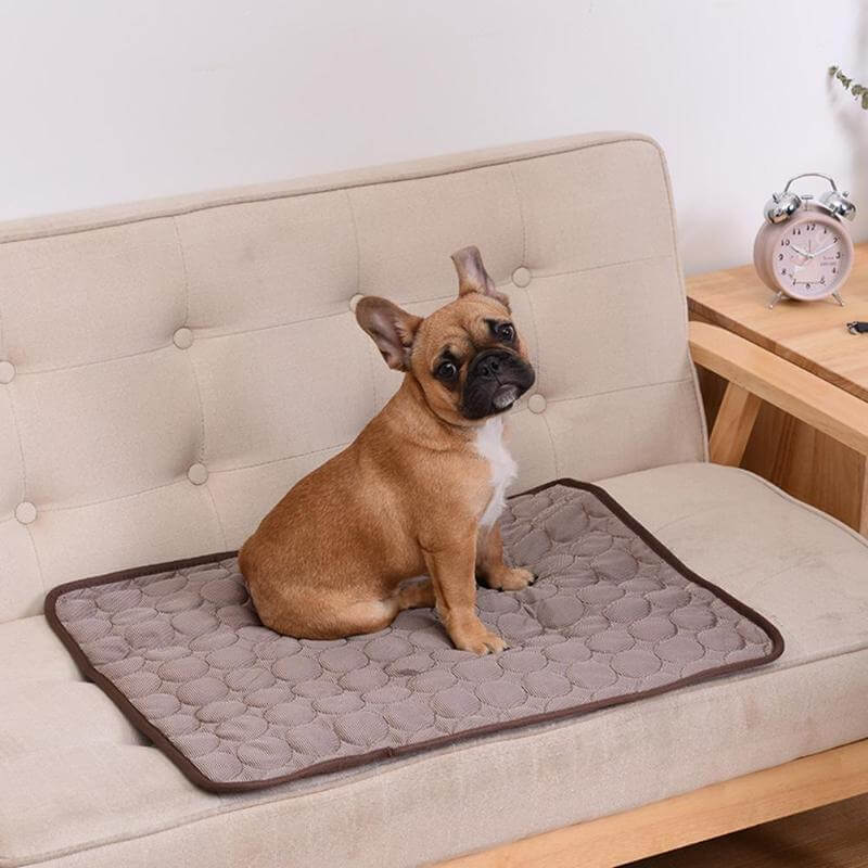 Coolmat™ | Alfombra Refrescante para Mascotas | Absorbente de Calor | Ligera y Lavable